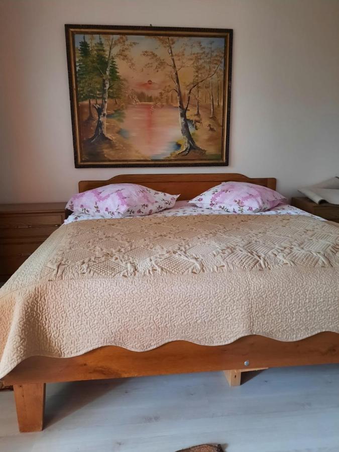 Pensiunea Cristiana Curtea de Argeş Dış mekan fotoğraf
